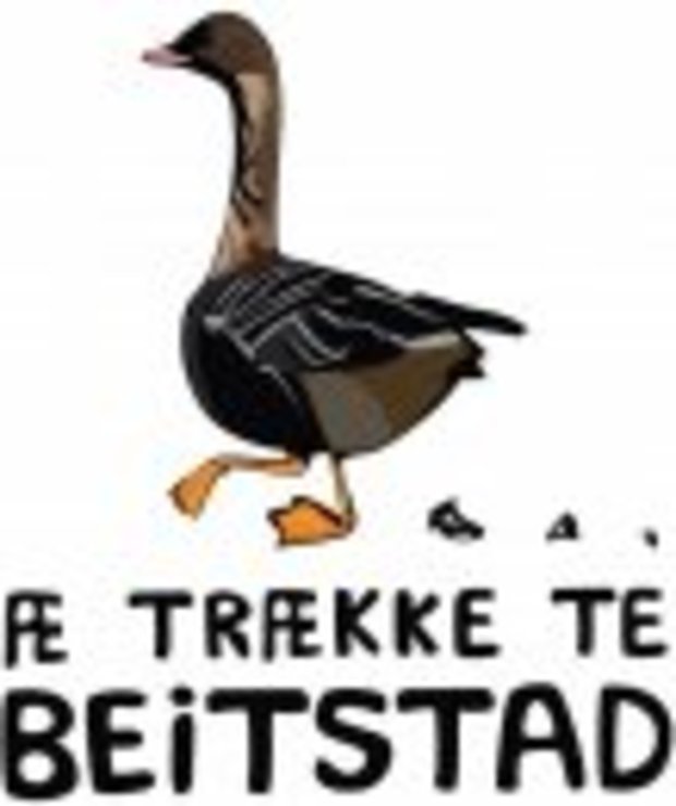 logo: "Æ trække te Beitsatd"