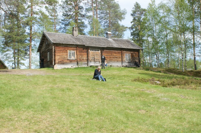 Eit av tiltaka i Finnskogen Natur- og kulturpark er ei kultur og kulturminnegruppe som skal arbeide med ivaretaking av kulturlandskap og handverkstradisjonar.
