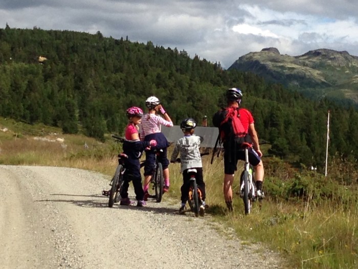 Tilrettelegging og verdiskaping rundt nasjonal sykkelrute nr 5 er eit av åtte satsingsområde i regionalpark Numedal.