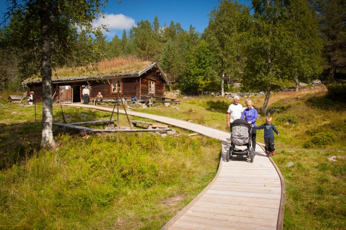 Gutulia Nasjonalpark ble opprettet i 1968 for mellom annet å bevare urørt, skog-, myr- og fjellområde. (Foto: Jan Nordvålen. Naturfoto Destinasjon Femund Engerdal.)