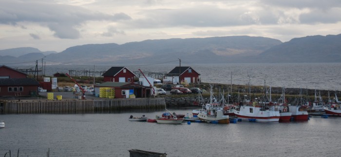 Fiskerihavnen i Nesseby har fått mer aktivitet ettersom det er blitt flere unge fiskere. (Foto: Halvor Hilmersen)