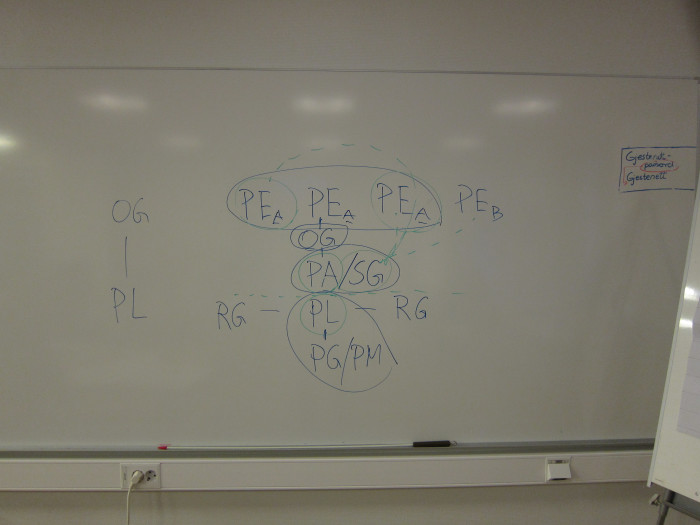 PLP - eierstruktur illustrert på whiteboard. foto.