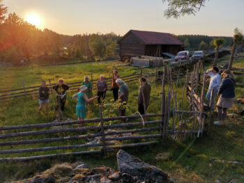 10 stykker står på en inngjerdet åker. I bakgrunnen ser vi noen biler, et fjøs og mye skog. Bak skogen går solen ned.